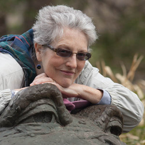 Fundraising Page: Elisabeth Wallace